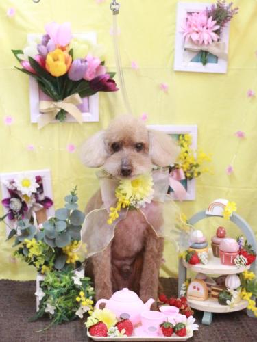 20230311こたろうくん